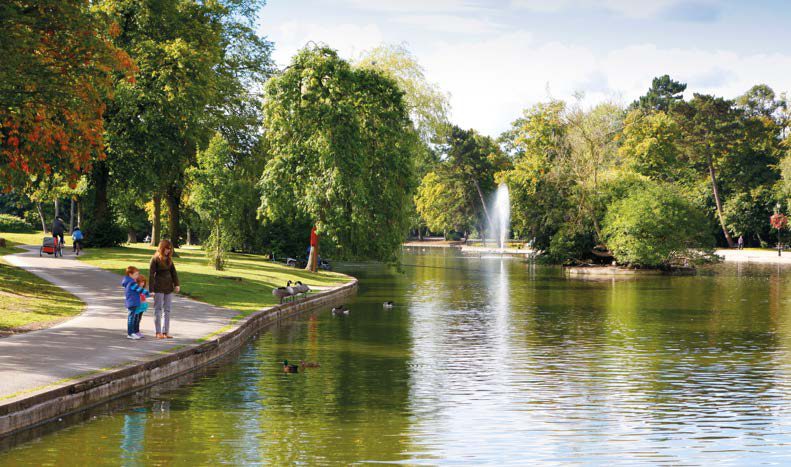 園景水景