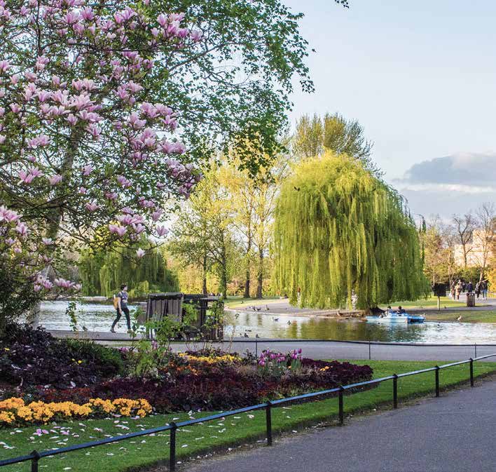 公園景觀