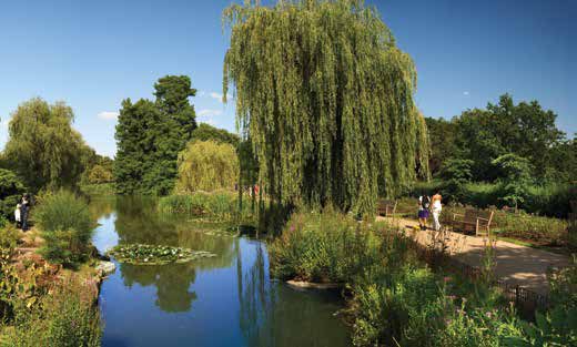 景觀花園