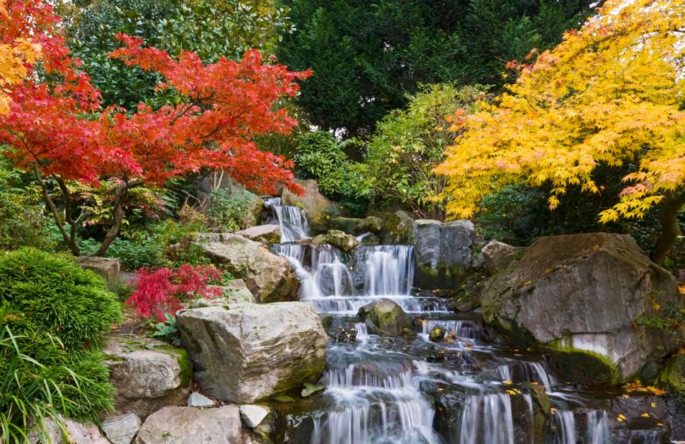 景觀花園