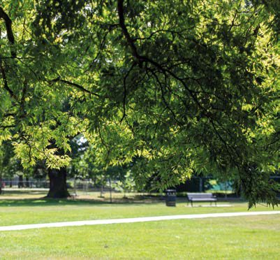 園景公園